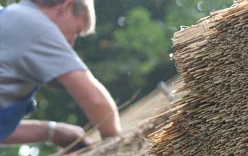 professional New Boston thatchers